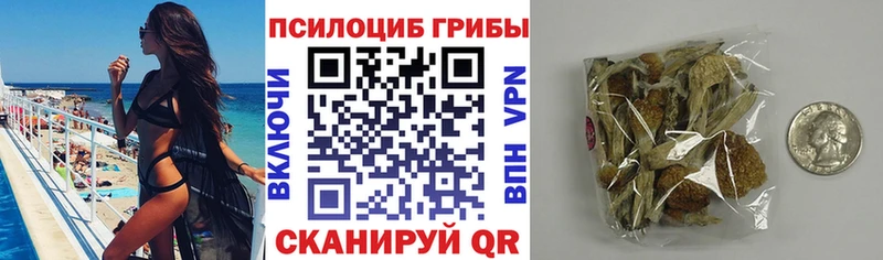 Галлюциногенные грибы Cubensis  наркота  мега зеркало  Власиха 
